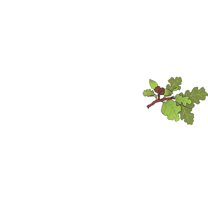West Coast Arborists